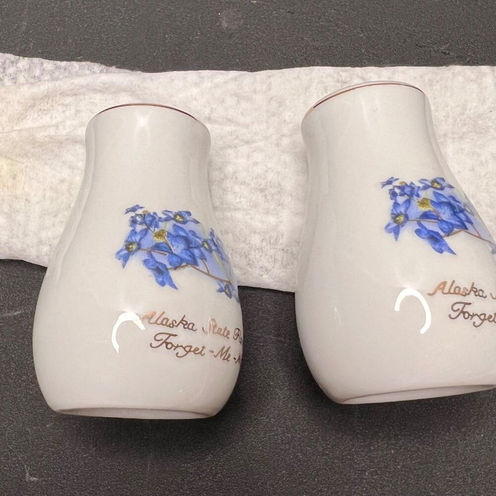 Vintage Alaska State Flower Forget-Me-Not Porcelain Salt & Pepper Shakers - Picture 5 of 10
